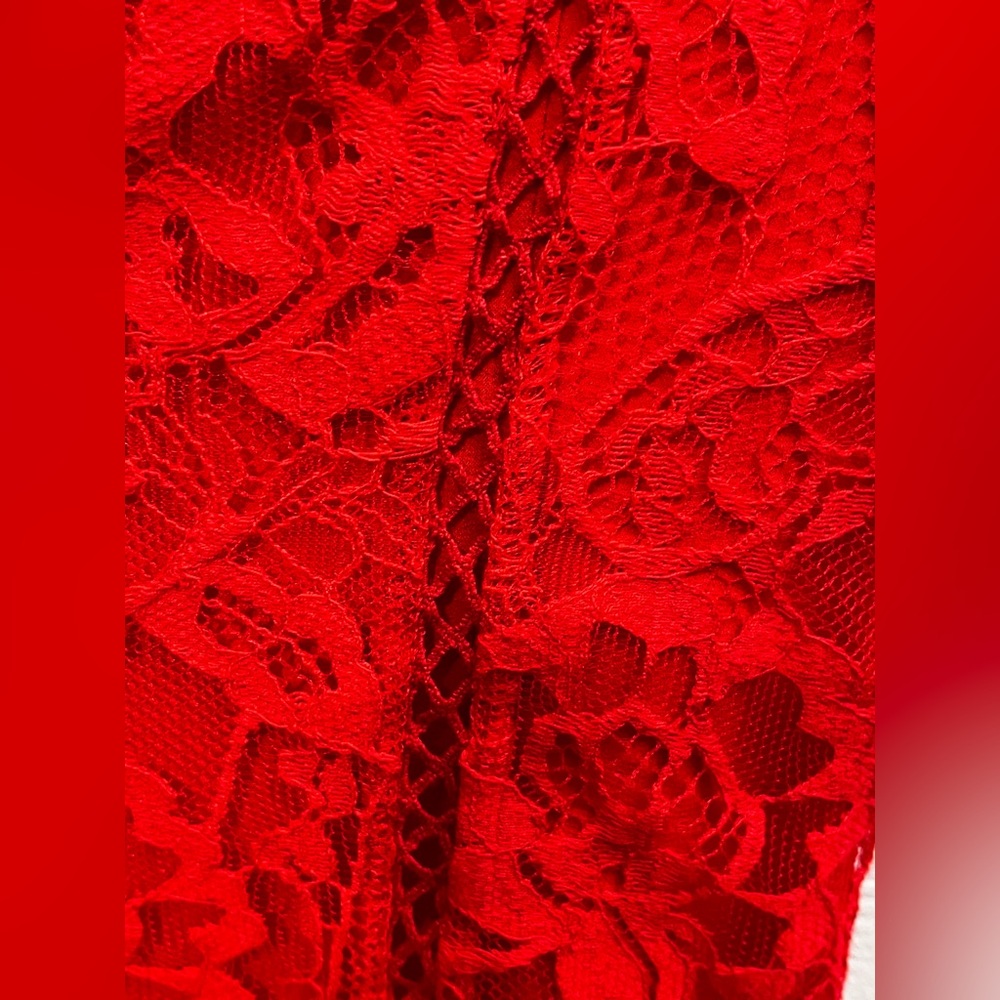 Lovers + Friends Red Lace Ruffle Strapless Mini Dress XXS NWT - Picture 6 of 14